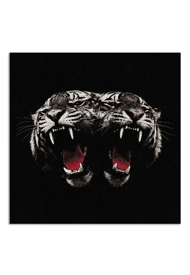 Royal Blood Dead Company CD rock alternativo