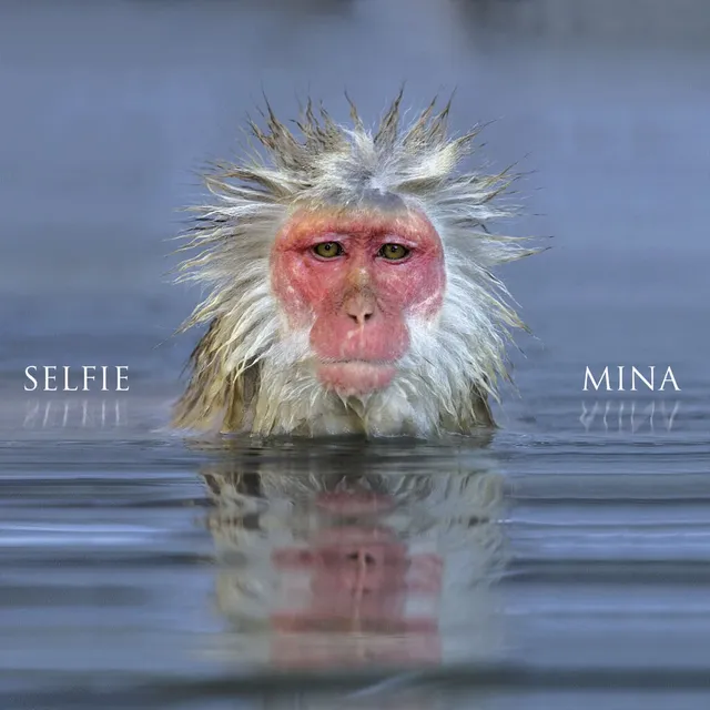 Mina Selfie CD album inediti