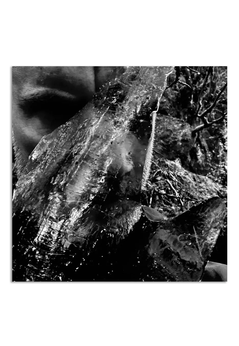 Taake En Skog Av Nidstang CD digipak black metal