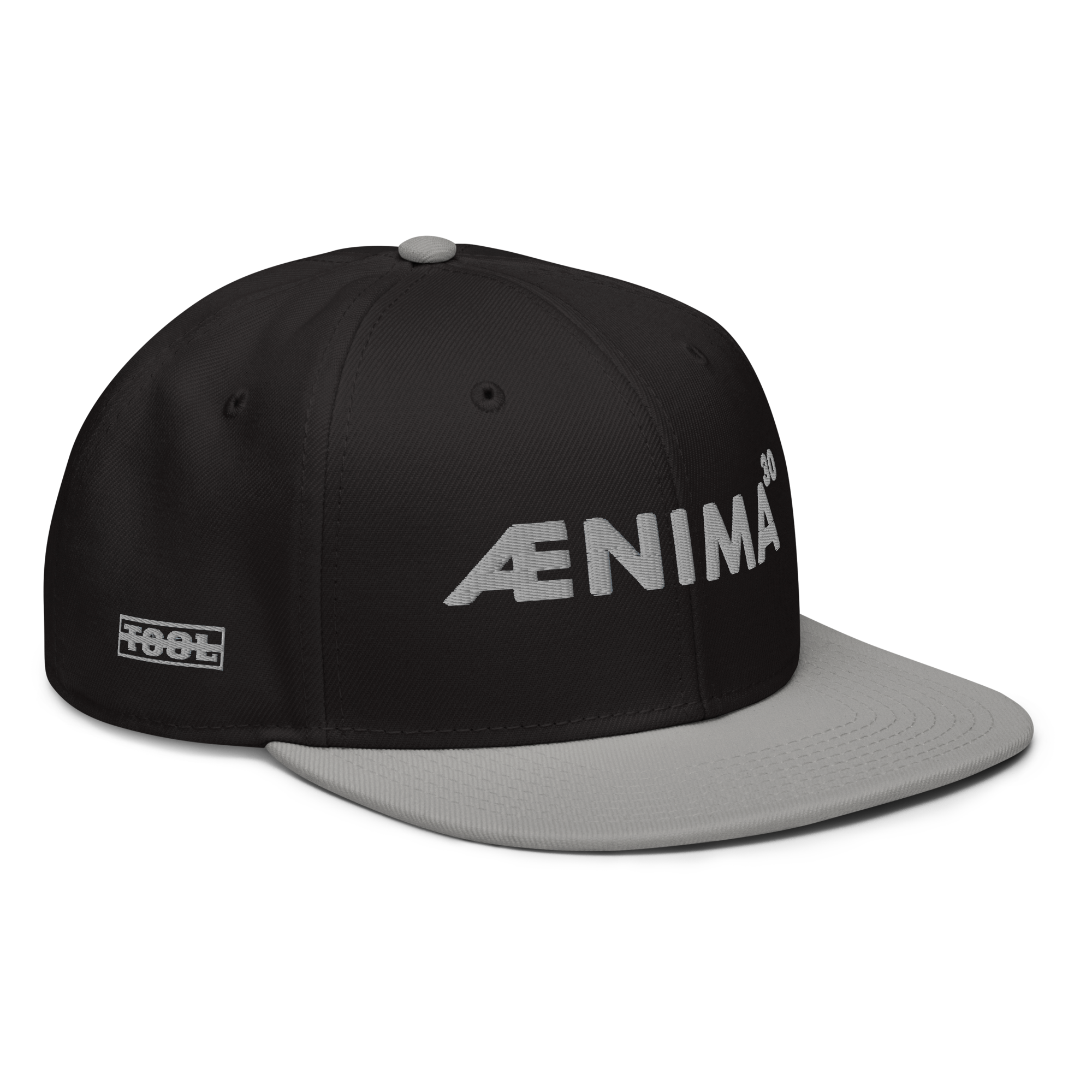 Tool Aenima30 Snapback Cappellino Regolabile 6 Pannelli