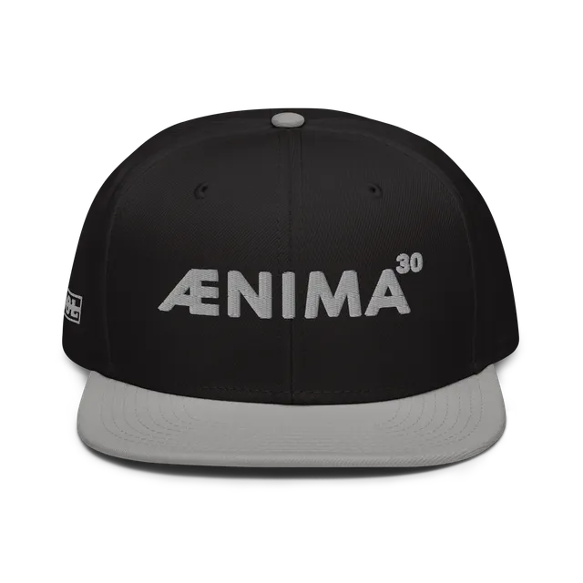 Tool Aenima30 Snapback Cappellino Regolabile 6 Pannelli