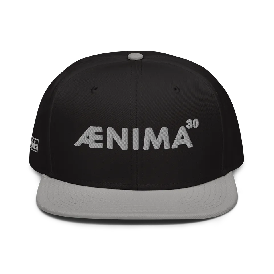 Tool Aenima30 Snapback Cappellino Regolabile 6 Pannelli