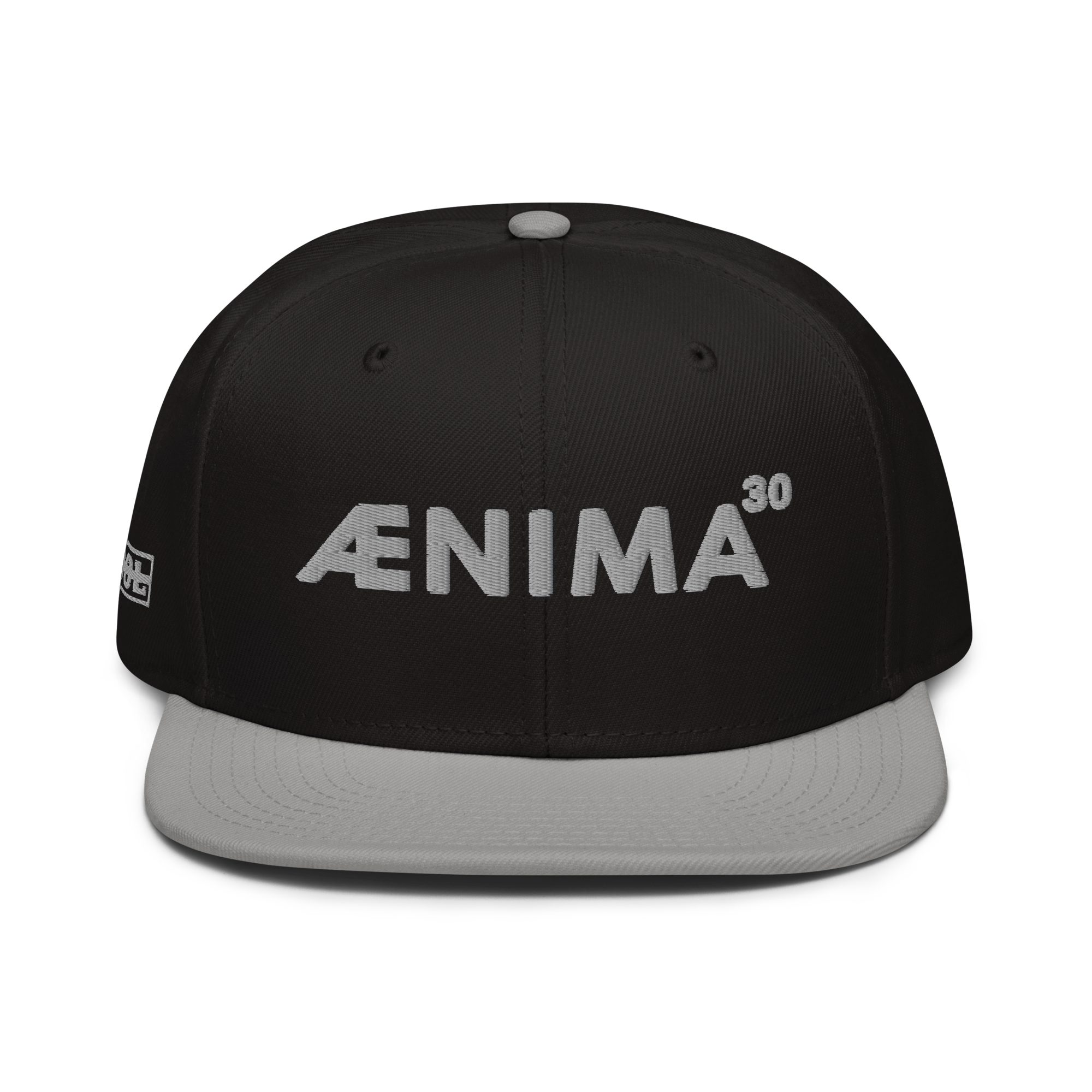Tool Aenima30 Snapback Cappellino Regolabile 6 Pannelli