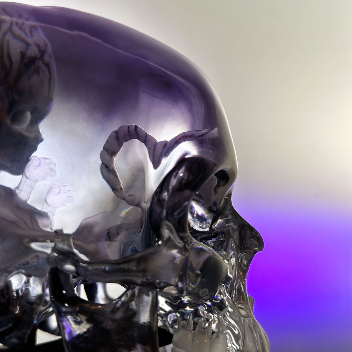 Tool Fetus in Skull Maquette Statua Polystone Numerata Unsigned