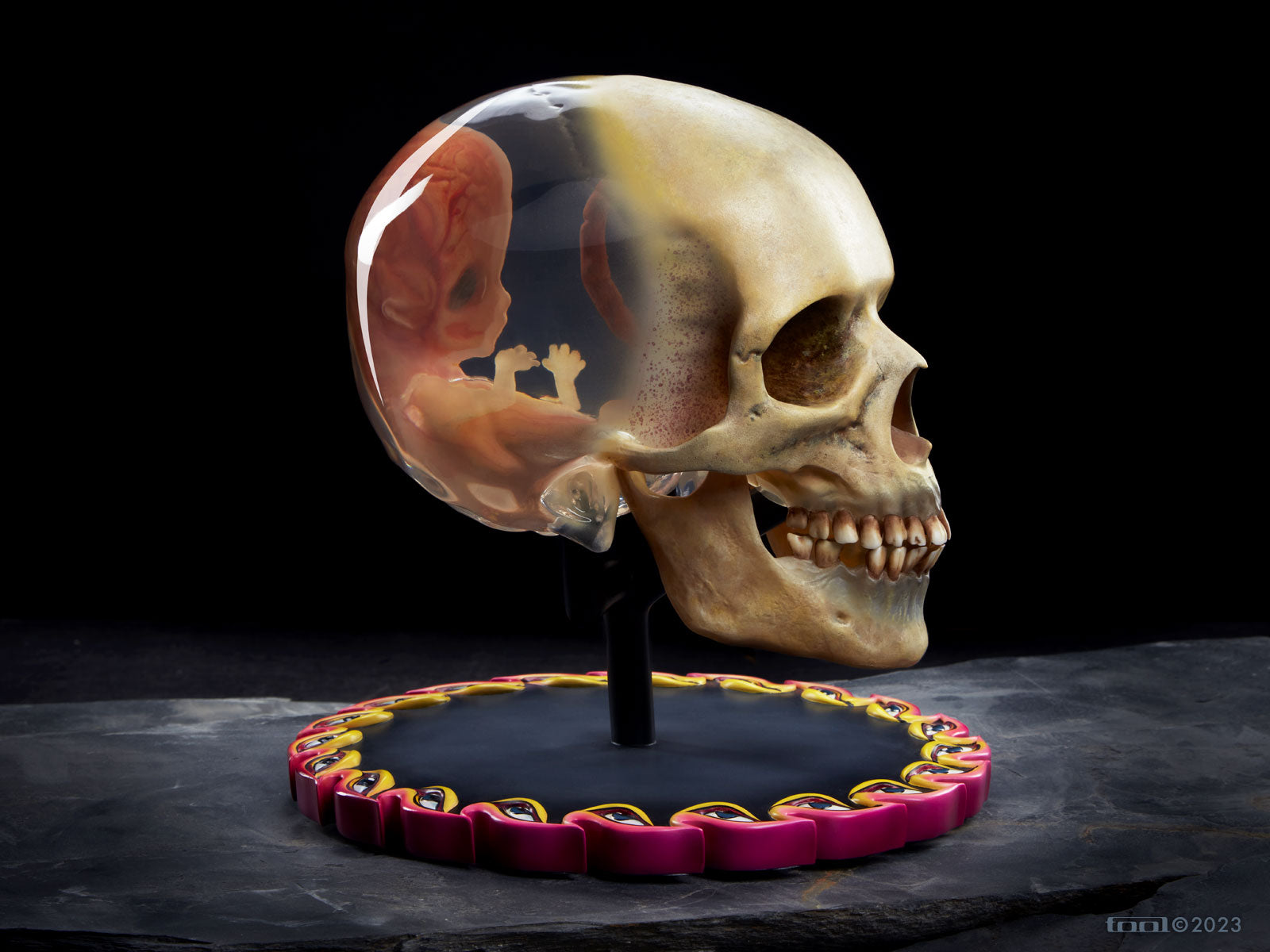 Tool Fetus in Skull scultura polystone 1:1 LED numerata