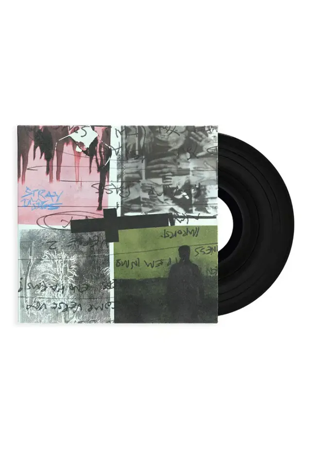 Nothing But Thieves Stray Dogs vinile LP alternative