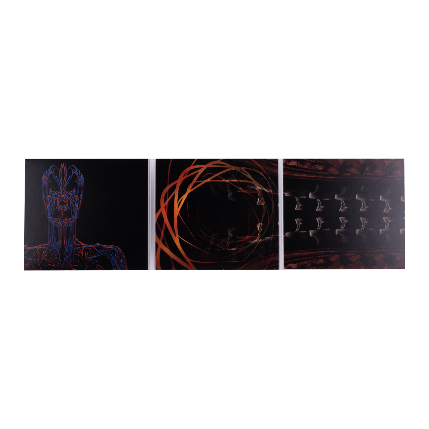 Tool Parabola DVD video Adam Jones CD fisico remix