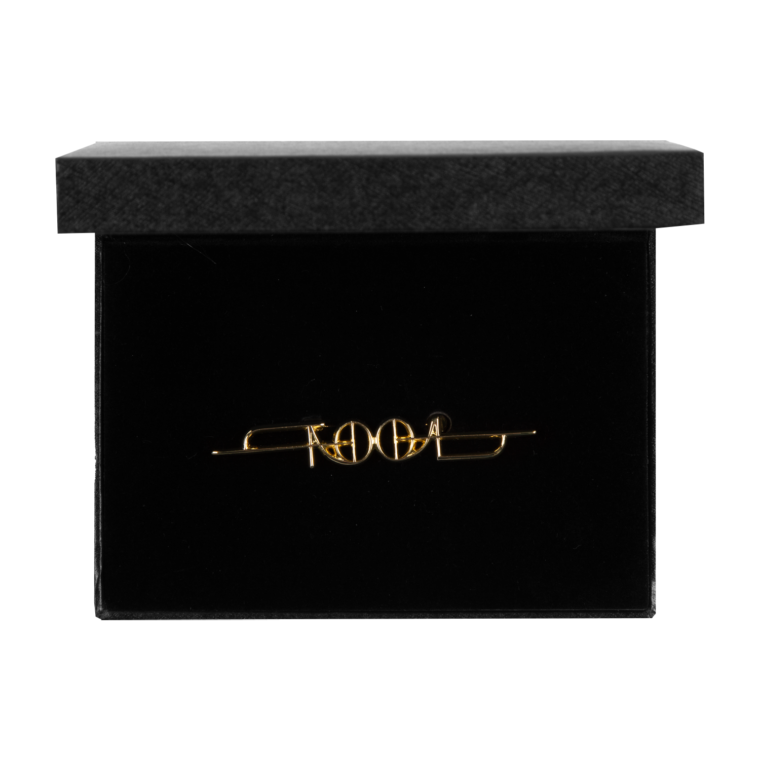 Tool Army Fear Inoculum Spilla dorata con cofanetto