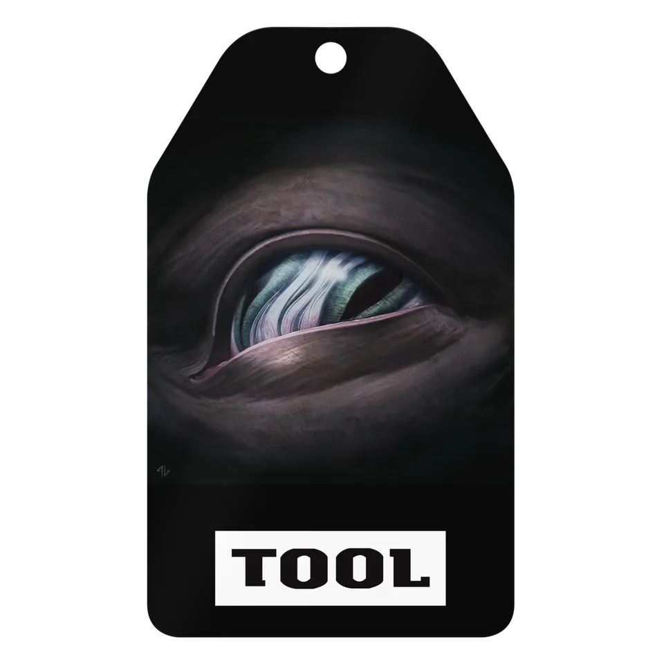 Tool Ornaments Ænima Eye Tag ornamento metallo 7,6x12,7 cm