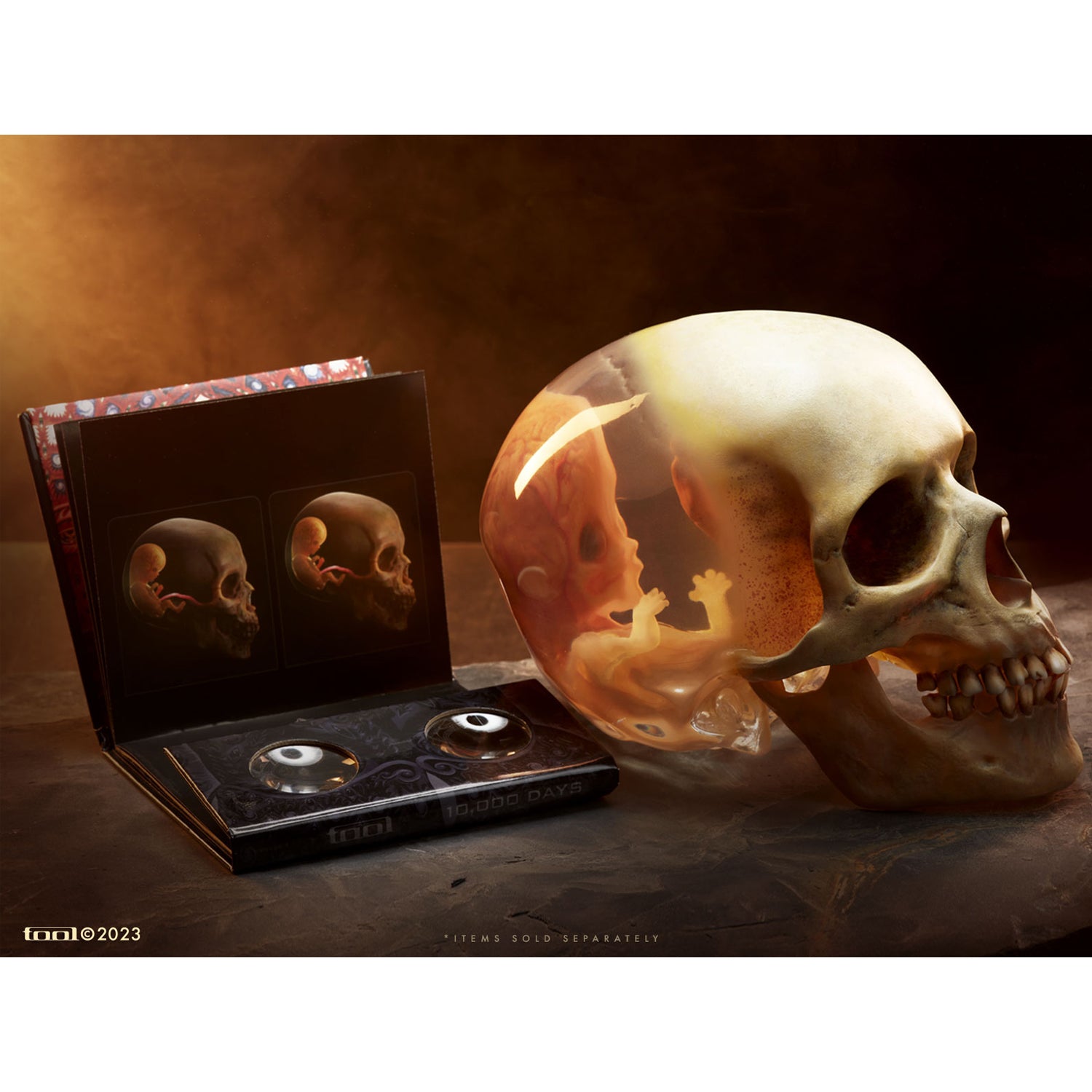Tool Fetus in Skull scultura polystone 1:1 LED numerata