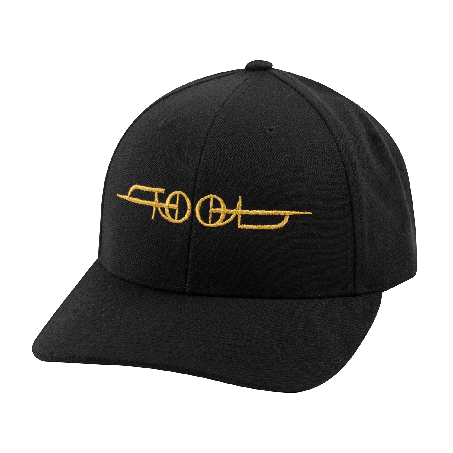 Tool Fear Inoculum Logo cappello snapback nero unisex