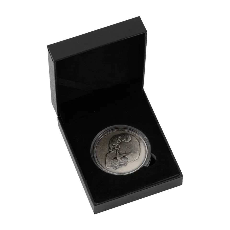 Tool Army 2023 Coin Moneta Ottone Argento da Collezione