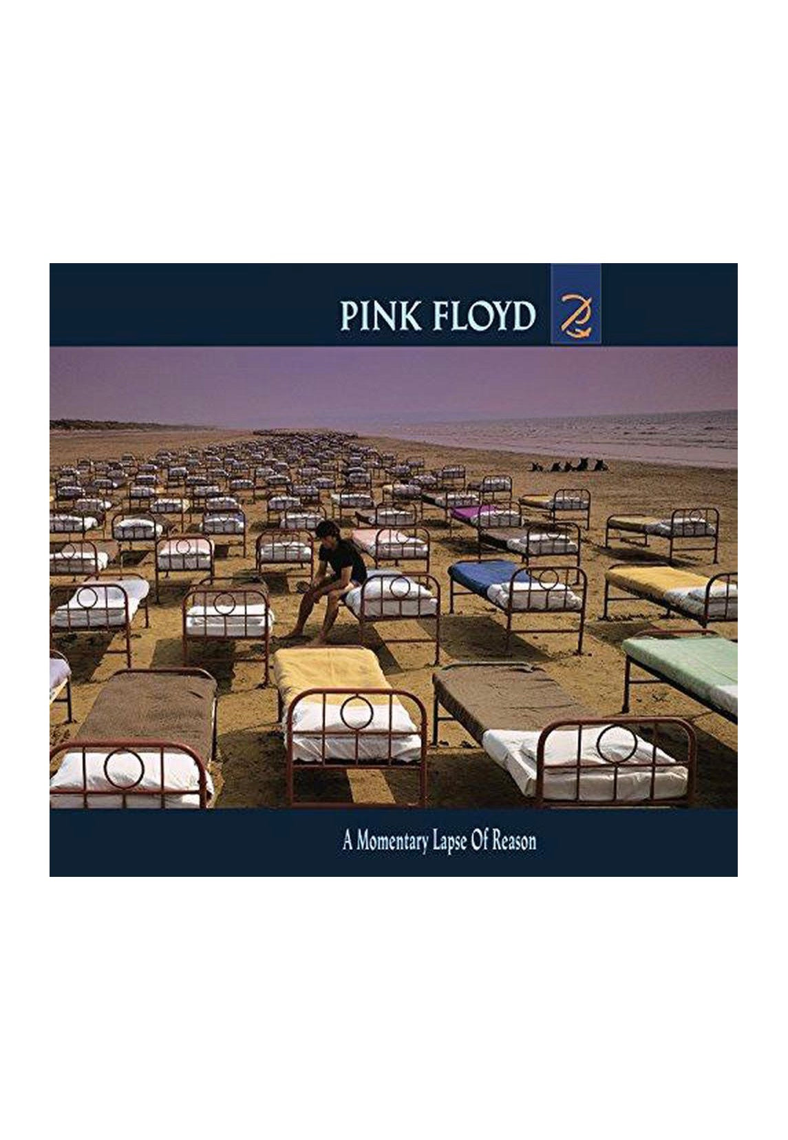 Pink Floyd A Momentary Lapse Of Reason LP vinile remastered