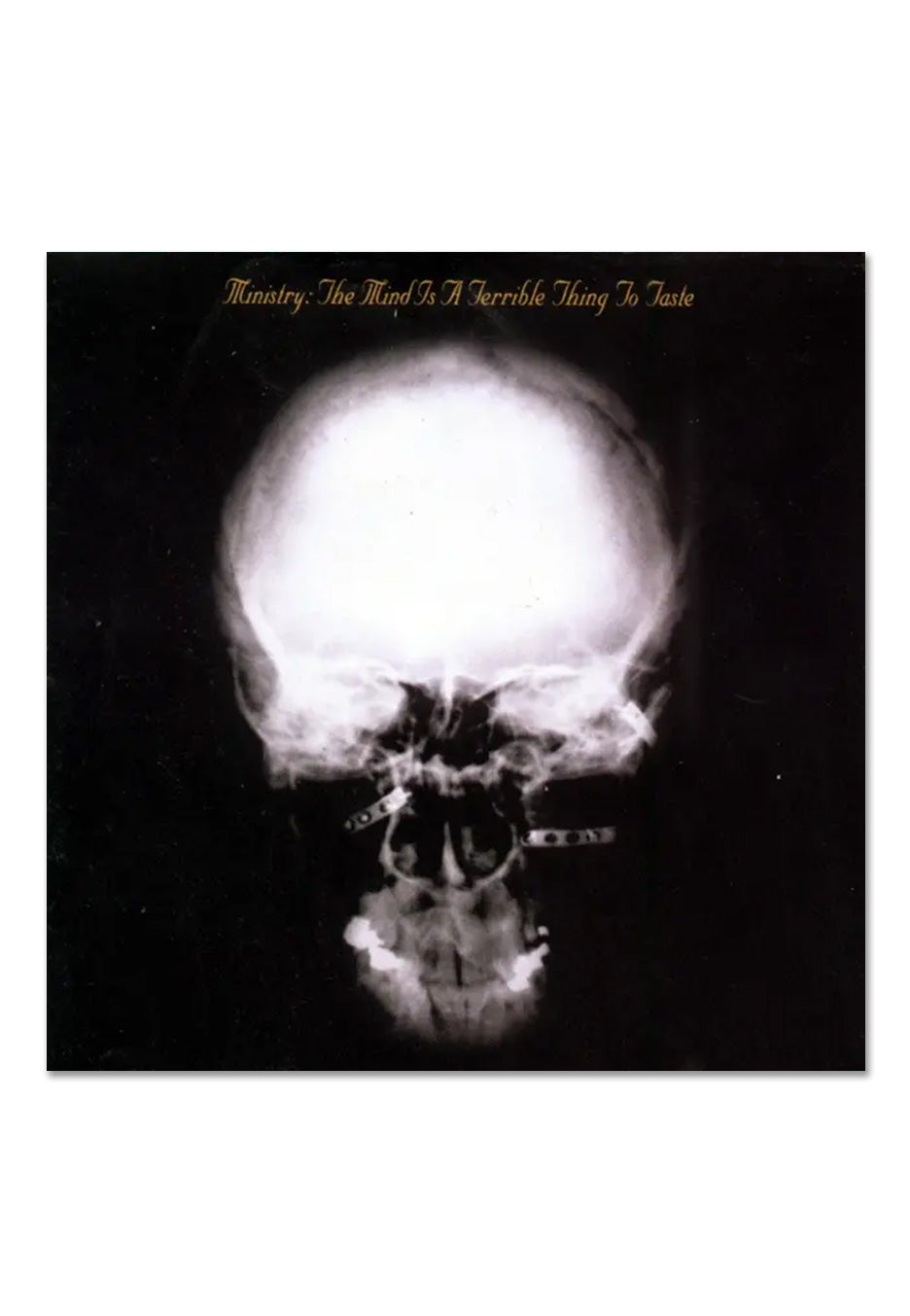 Ministry The Mind Is A Terrible Thing To Taste 2 Vinili