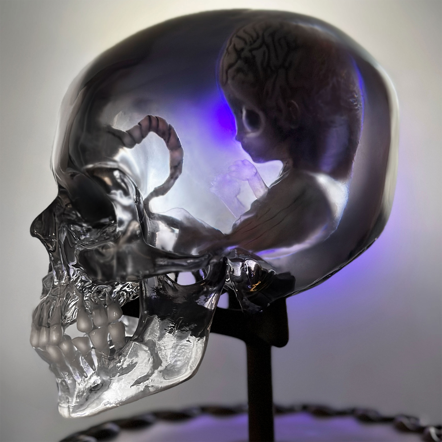 Tool Fetus in Skull Maquette Statua Polystone Numerata Unsigned