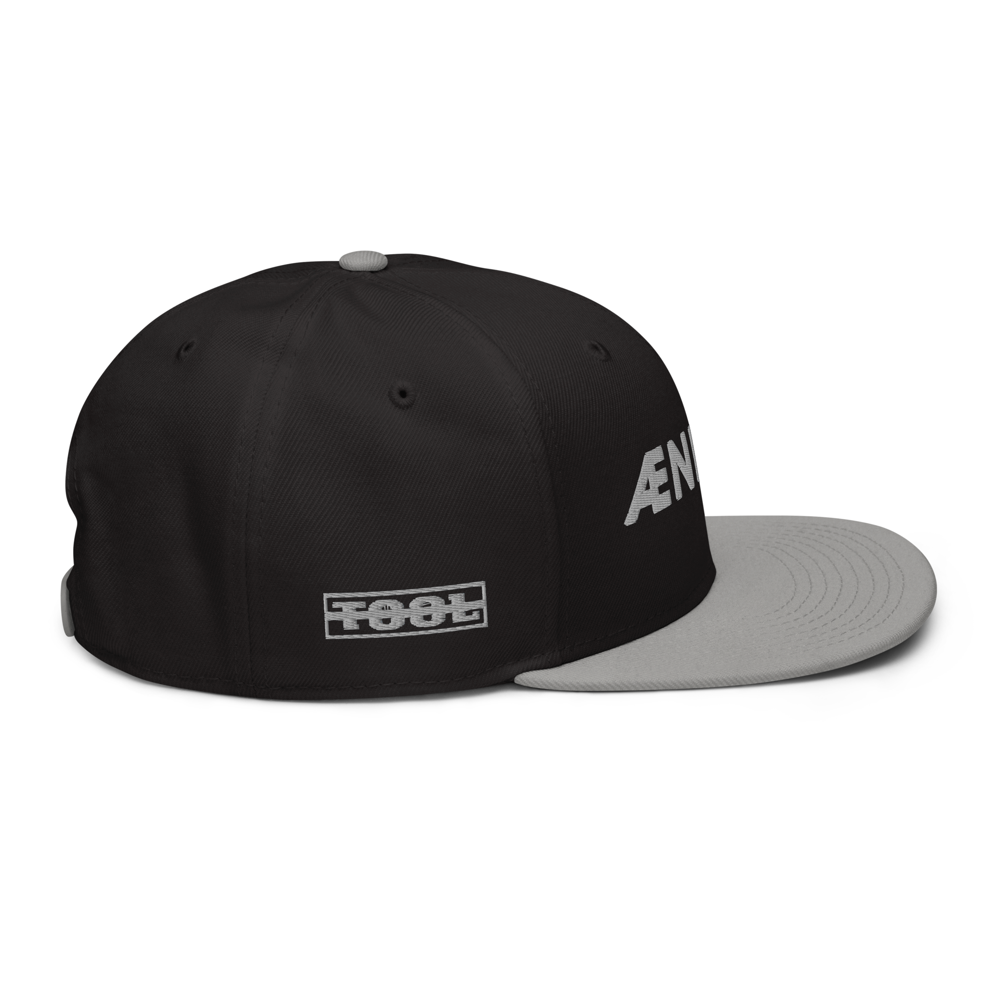 Tool Aenima30 Snapback Cappellino Regolabile 6 Pannelli