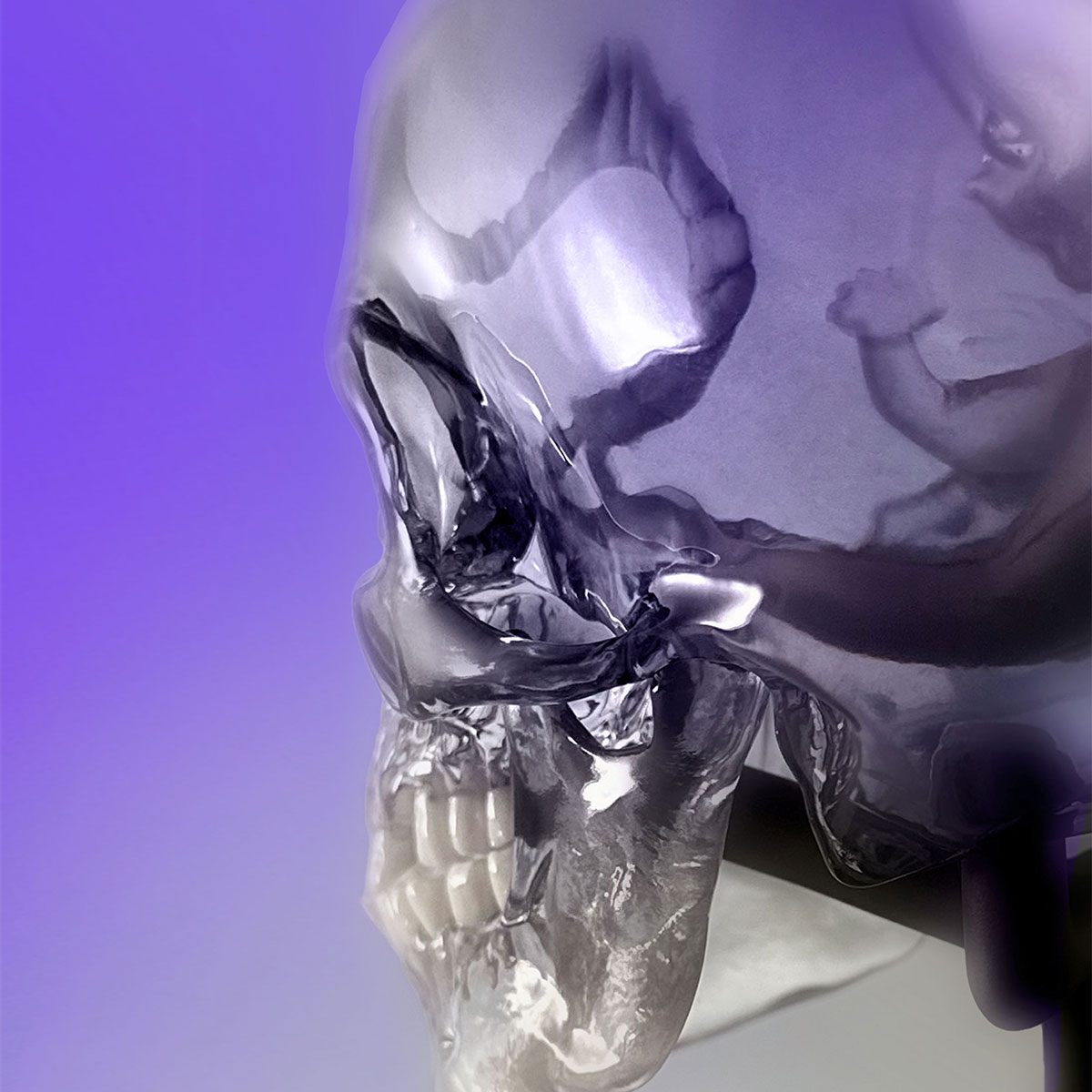 Tool Fetus in Skull Maquette Statua Polystone Numerata Unsigned