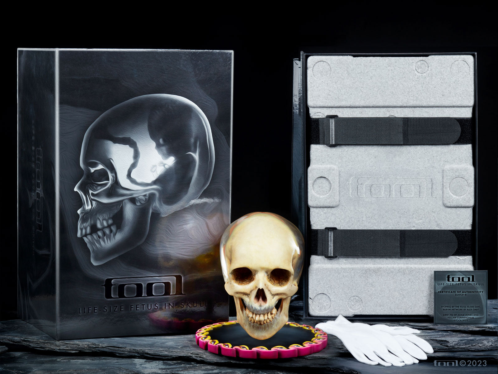 Tool Fetus in Skull scultura polystone 1:1 LED numerata