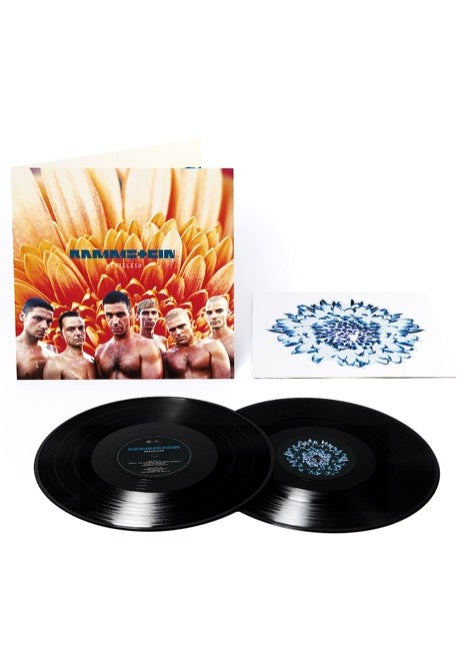 Rammstein Herzeleid 2 LP vinile rock Vertigo