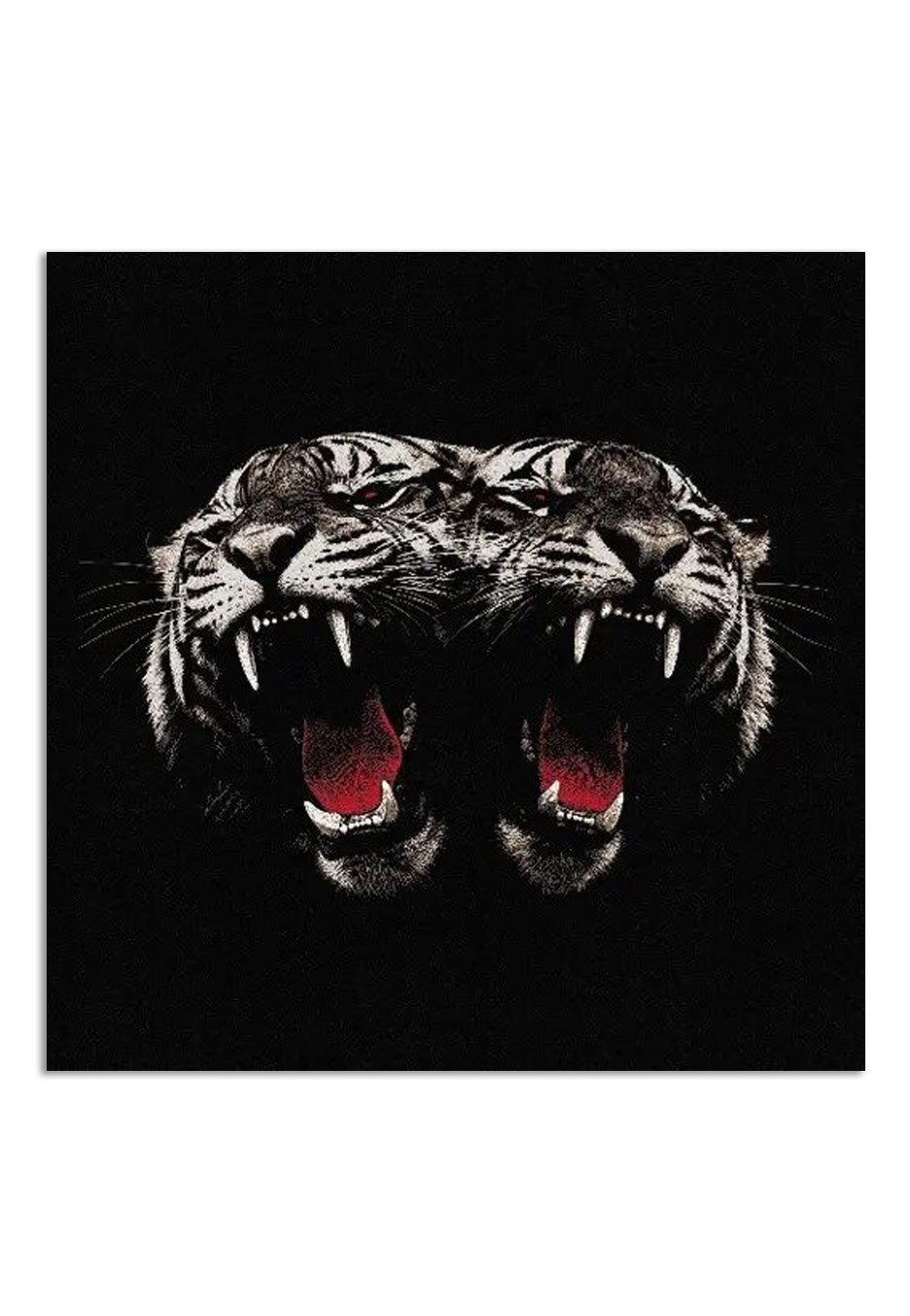 Royal Blood Dead Company CD rock alternativo