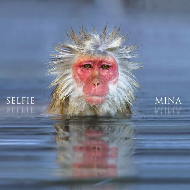 Mina Selfie LP vinile album inediti
